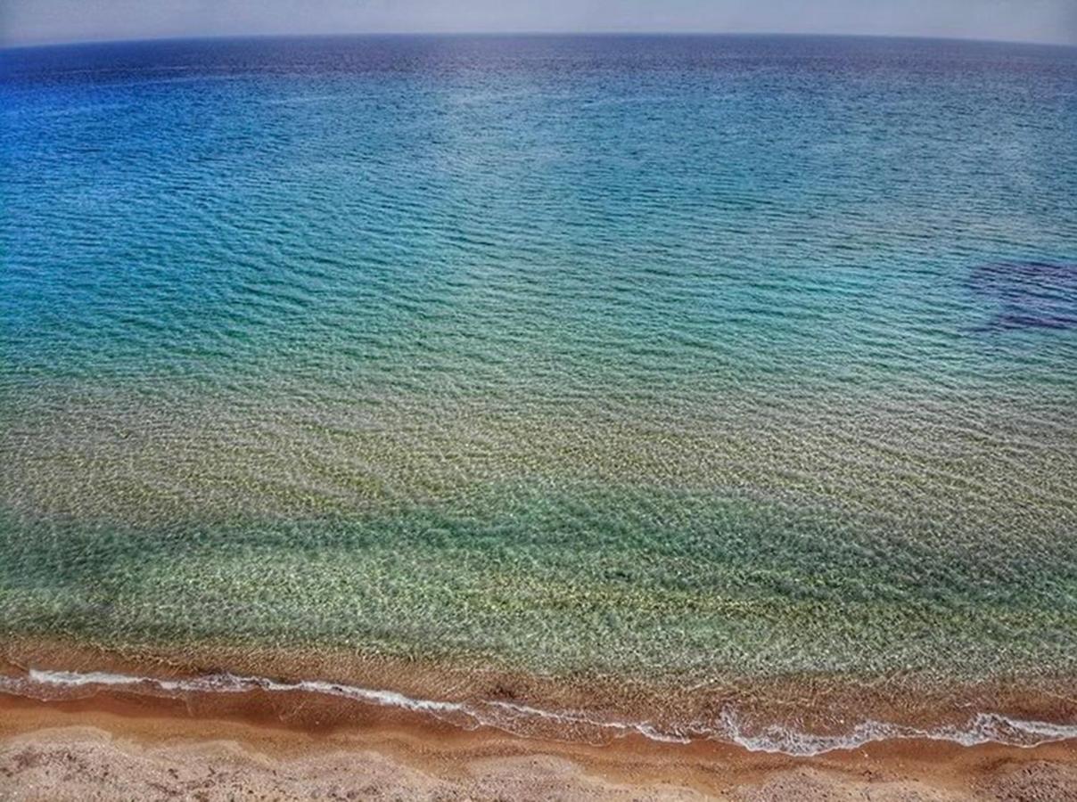 Goldfish Seaside Luxury *